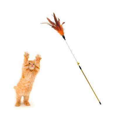 2020 interactive kitten feather wand cat teaser toy